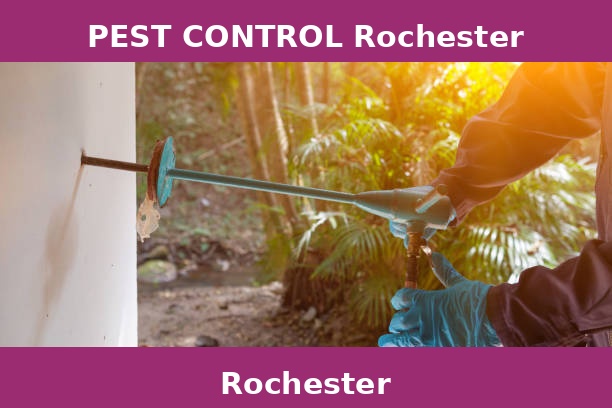 PEST CONTROL Rochester